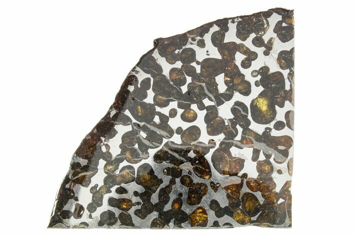 Sericho Pallasite Meteorite ( g) Slice - Kenya #375600